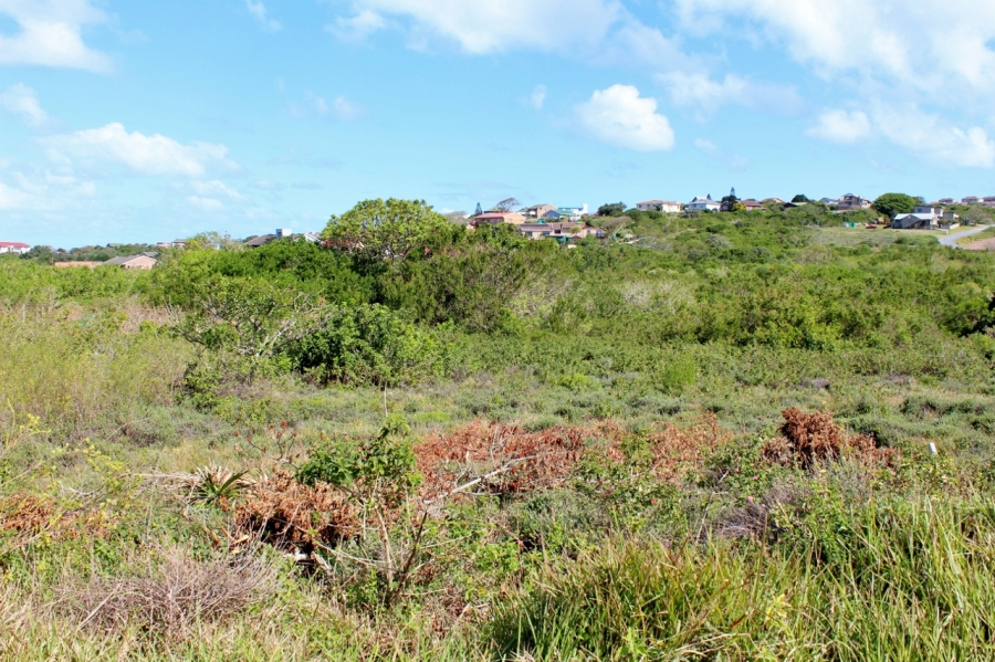 0 Bedroom Property for Sale in Forest Downs Eastern Cape